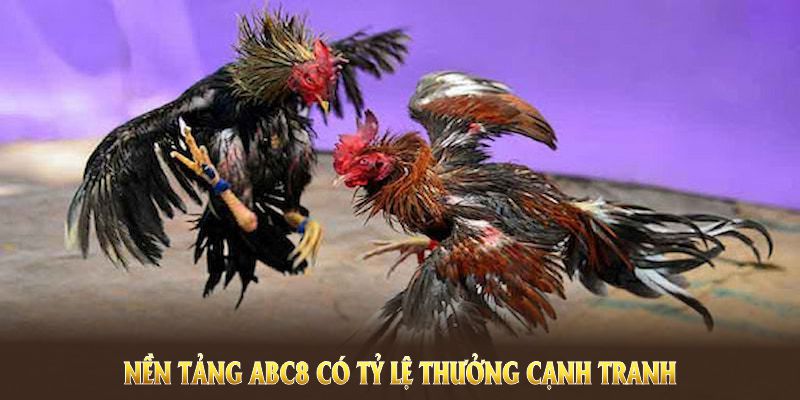 Nền tảng ABC8 có tỷ lệ thưởng cạnh tranh so với các cổng game khác